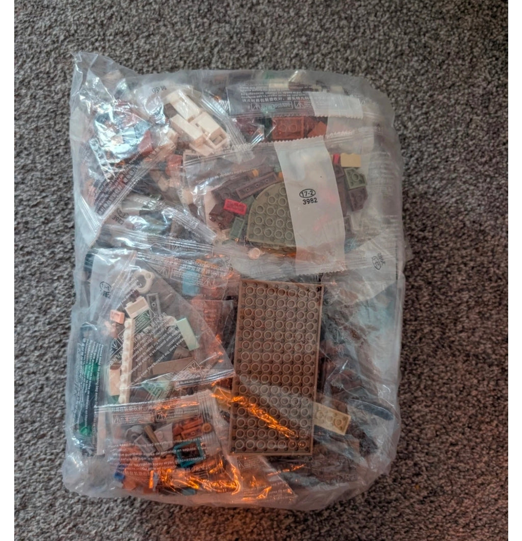 *NEW* 76437 The Burrow Collectors' Edition Building Blocks Set